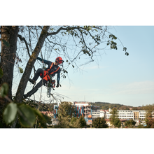 Load image into Gallery viewer, Arborist climbing a tree with cordless chainsaw