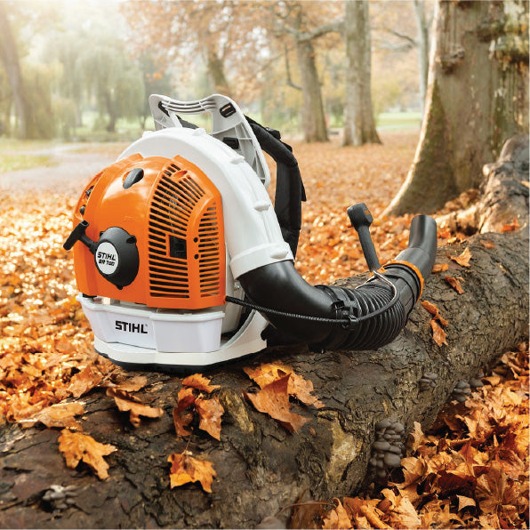 From Rake to Relax: Your Autumn Leaf Solution