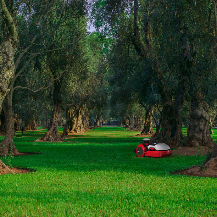 Kress RTK save up to 60%
