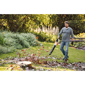 Person using STIHL BGA 57 blowing leaves on grass