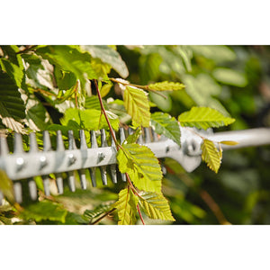STIHL HL-KM 145 Long Reach Hedge Trimmer Kombitool