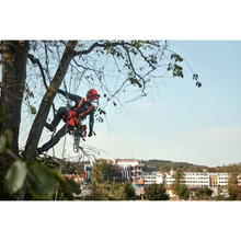 Load image into Gallery viewer, Arborist climbing a tree with cordless chainsaw
