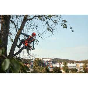 Arborist climbing a tree with cordless chainsaw