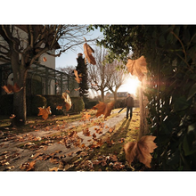 Load image into Gallery viewer, STIHL BR 200
