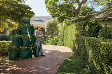 Load image into Gallery viewer, STIHL HLA 56 Long-Reach Hedge Trimmer
