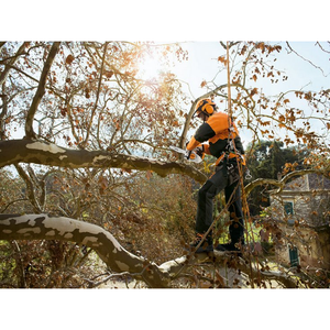 STIHL MS 151 TC-E 10"
